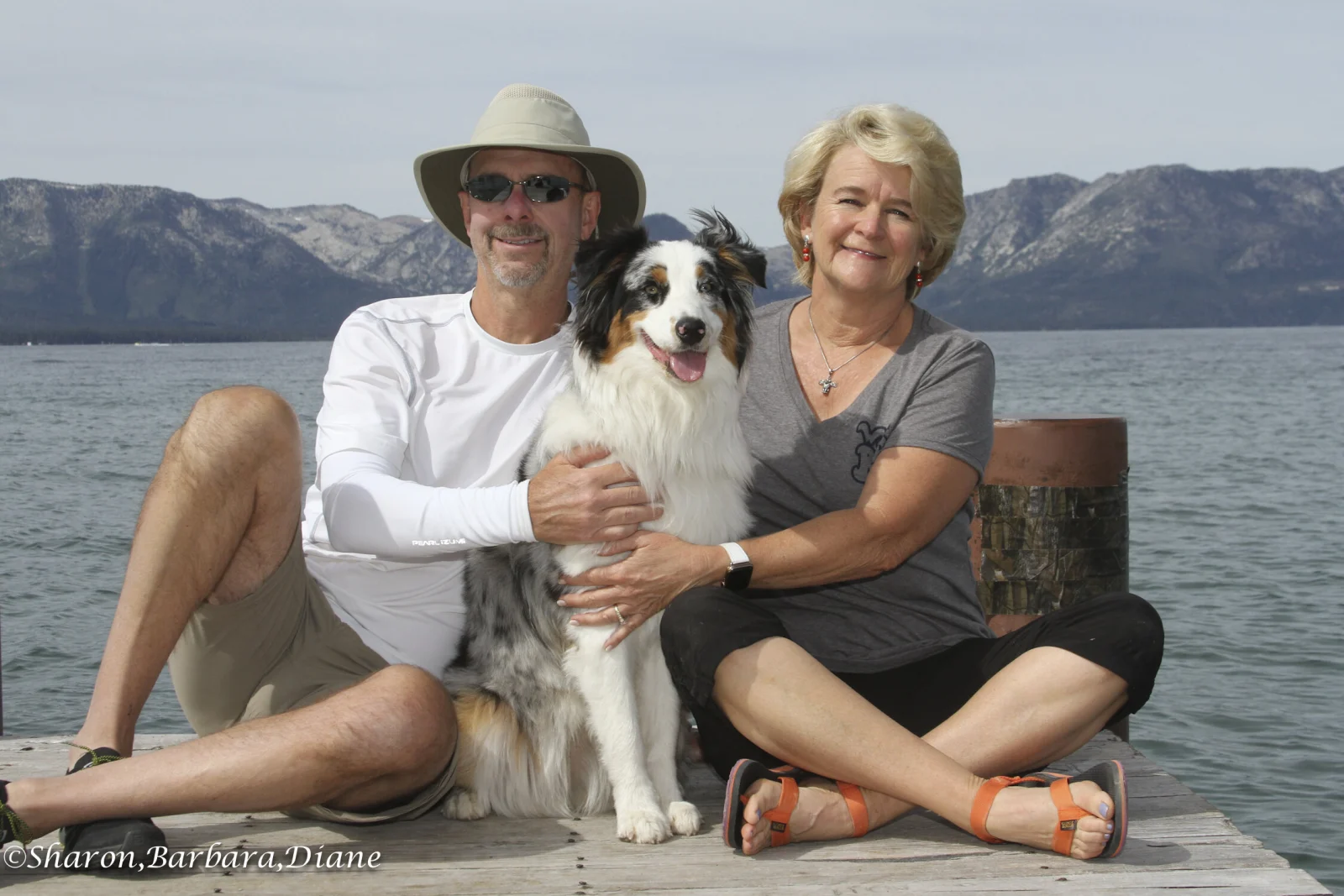Wild dogs two people sitting with dog