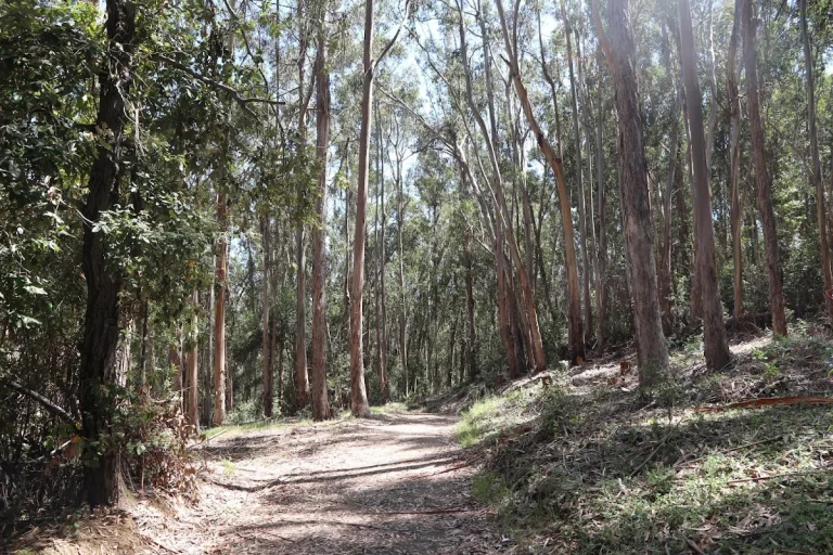 Wunderlich County Park
