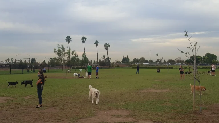 Yorba Dog Park, a dog-friendly dog park in Orange County, California