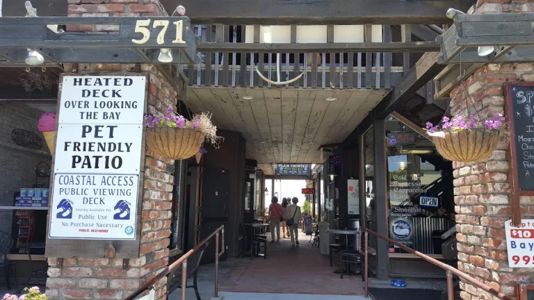 Abri Waterfront Restaurant, a dog-friendly restaurant in Morro Bay, California