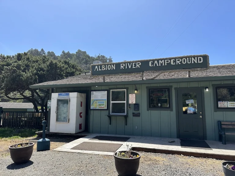 Albion River Campground, a dog-friendly campground in Albion, California