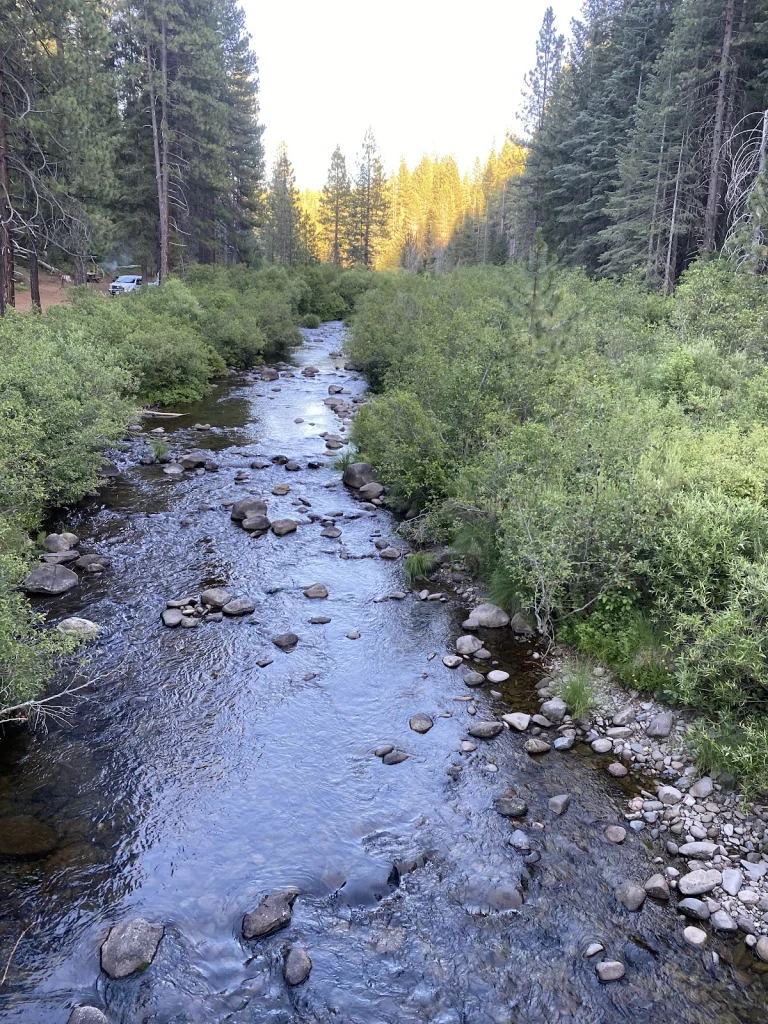 Algoma Campground, a dog-friendly campground in Hat Creek, California