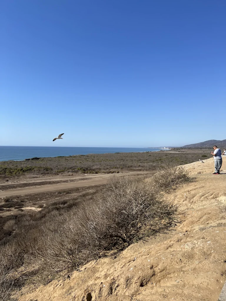 Aliso Creek Rest Area I-5