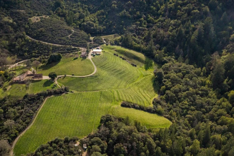 Alta Orsa Winery