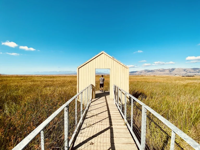 Alviso Marina County Park, a dog-friendly park in Alviso, California