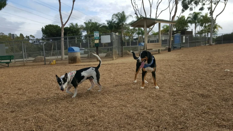 Ann L’Heureux Memorial Dog Park