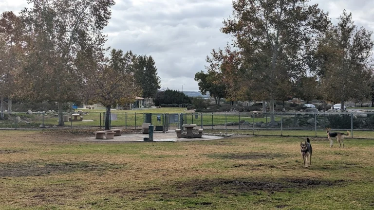 Aurantia Dog Park