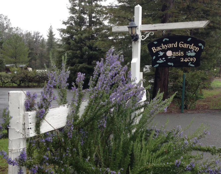 Backyard Garden Oasis B&B