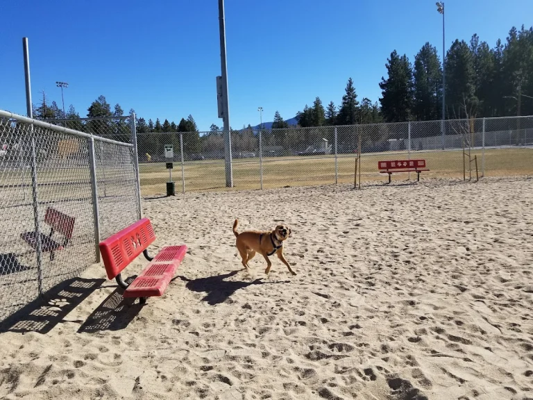 Bark Park