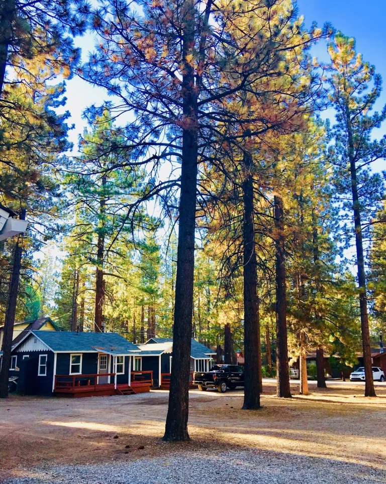 Big Bear Serenity Cabins — dog-friendly cabins in Big Bear Lake