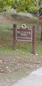 Big Canyon Park, a dog-friendly park in San Carlos, California