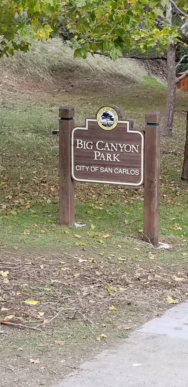 Big Canyon Park, a dog-friendly park in San Carlos, California