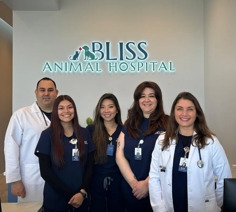 Bliss Animal Hospital, a dog-friendly local service in Lake Forest, California