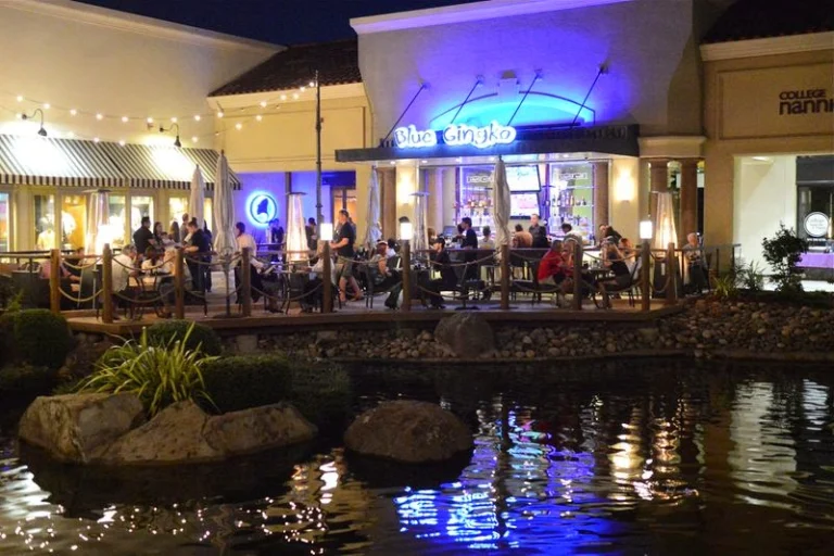Blue Gingko, a dog-friendly restaurant in Danville, California
