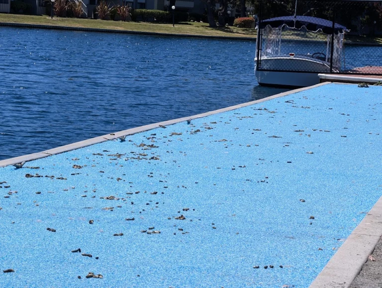 Boat Park, a dog-friendly boating destination in Foster City, California