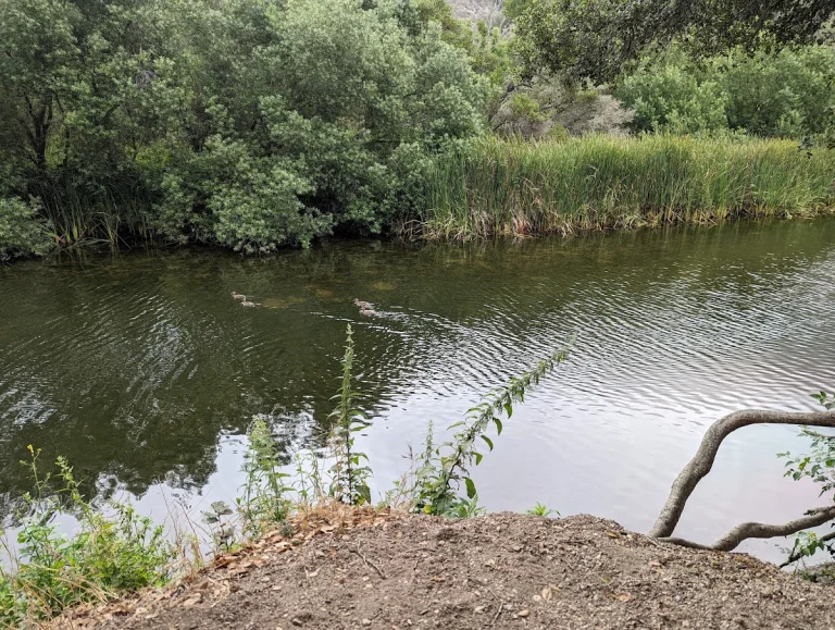 Bob Jones City, a dog-friendly hiking trail in Avila Beach, California