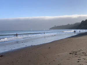 Bolinas Beach on the Marin County coast, California