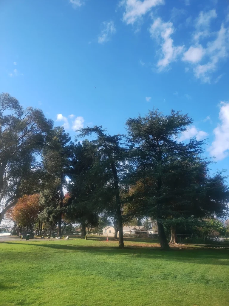 Bon View Park, a dog-friendly hiking trail in Ontario, California