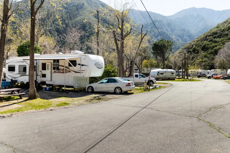 Bonita Ranch RV Campground, a dog-friendly campground in Lytle Creek, California