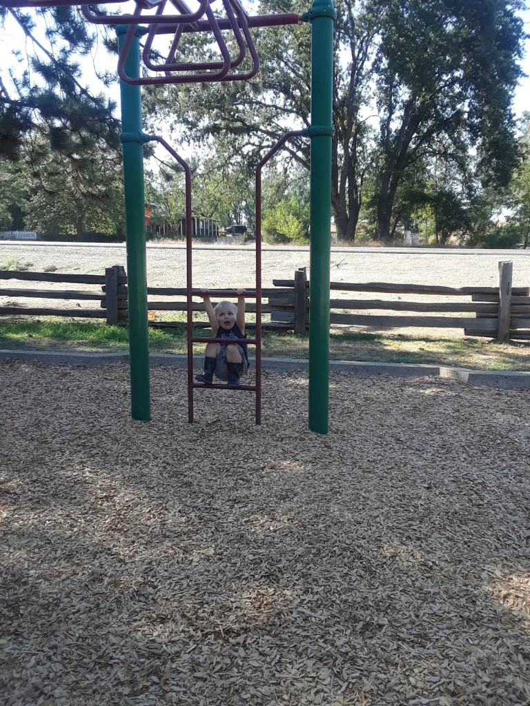 Bradford Park, a dog-friendly park in Shingle Springs, California