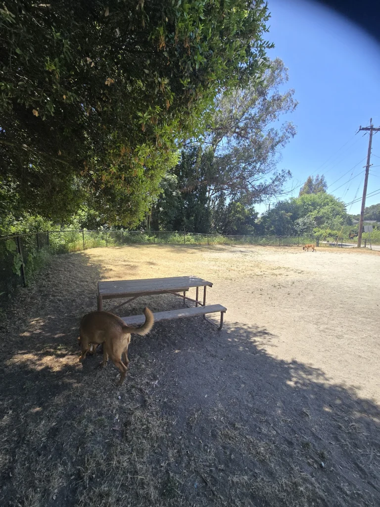 Branciforte Dog Park