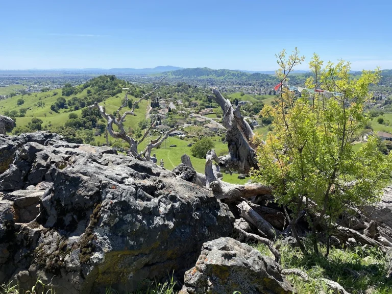 Browns Valley Open Space, a dog-friendly hiking trail in Vacaville, California