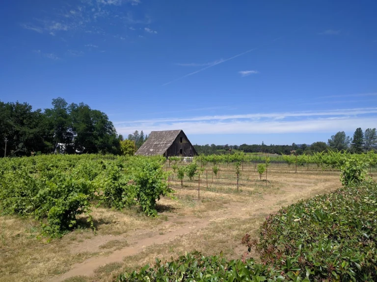 Busby Cellars, a dog-friendly winery in Somerset, California
