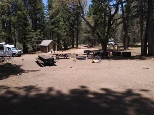 Buttercup Group Campground