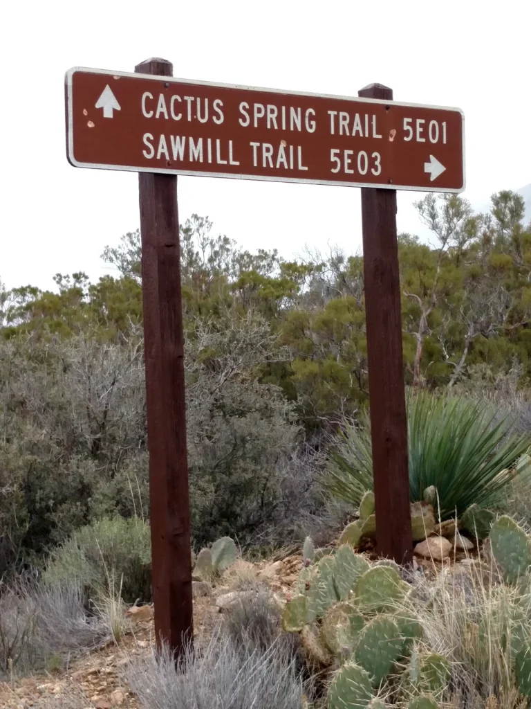 Cactus Spring Trail