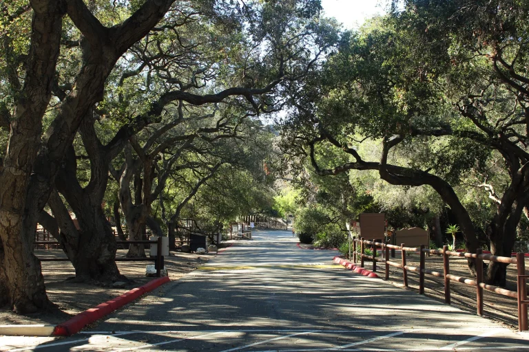 Camarillo Grove Dog Park
