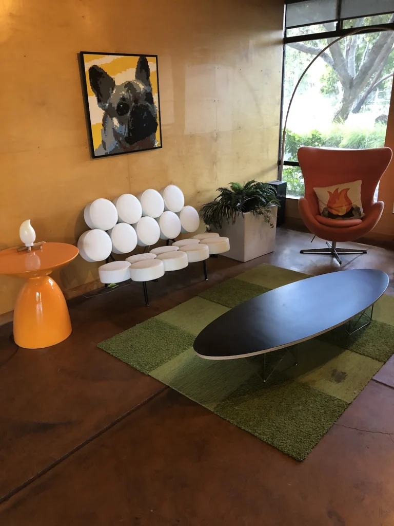 Camp K-9 of Marin, a dog-friendly pet boarding facility in Corte Madera, California