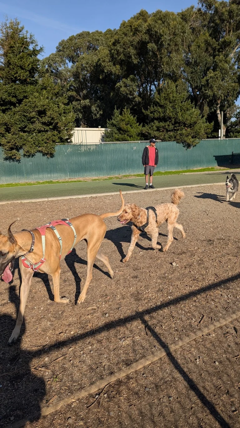 Centennial Dog Park