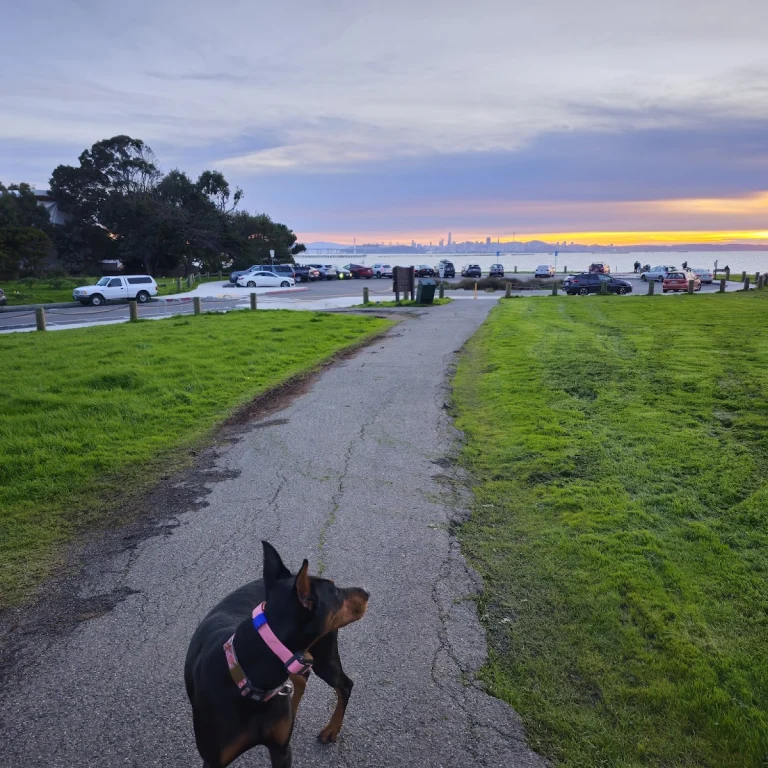 Cesar Chavez Dog Park, a dog-friendly dog park in Berkeley, California
