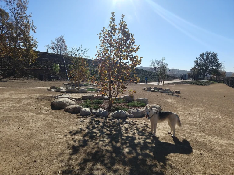 Checkers Dog Park
