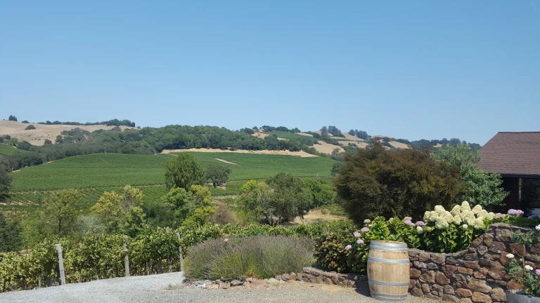 Christopher Creek Winery Google Places photo