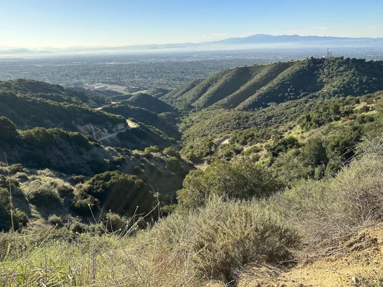 Claremont Hills, a dog-friendly hiking trail in Claremont, California