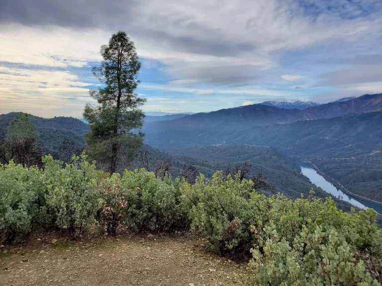 Clikapudi Trail, a dog-friendly hiking trail in Shasta Lake, California