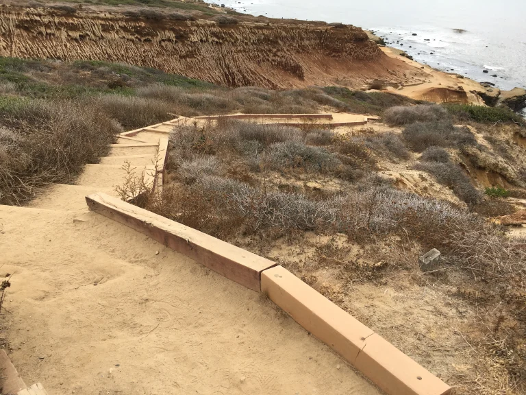 A long downward set of steps along a dirt path going towards the ocean.