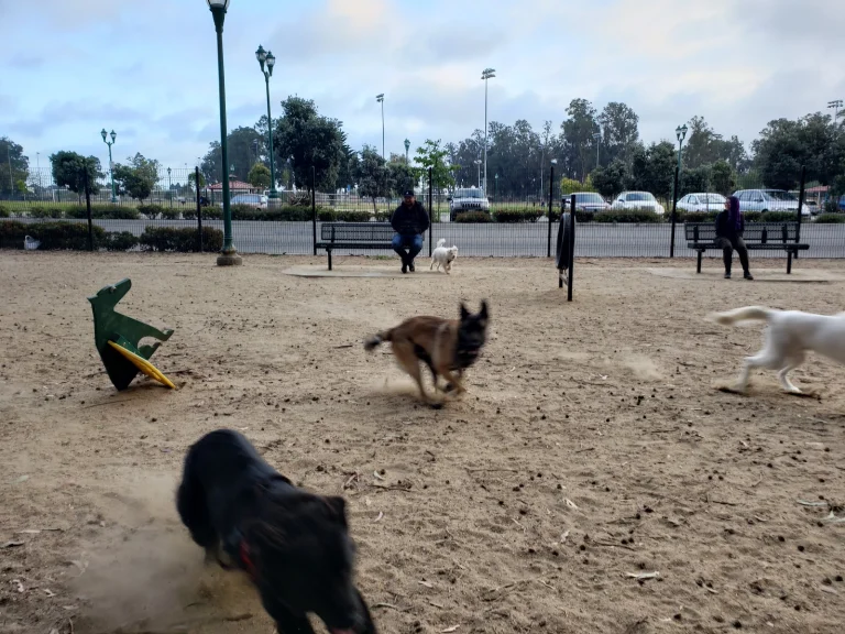 College Park Dog Park