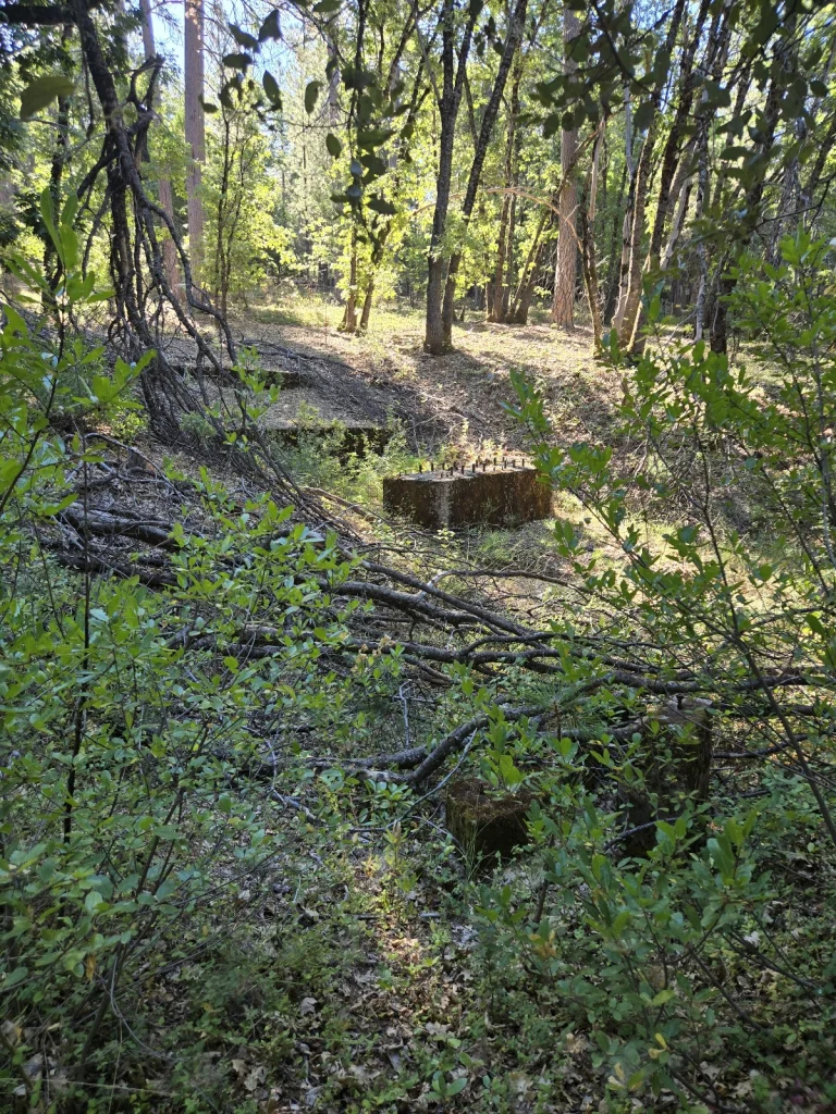 Conlon Mine trail — Google Places photo