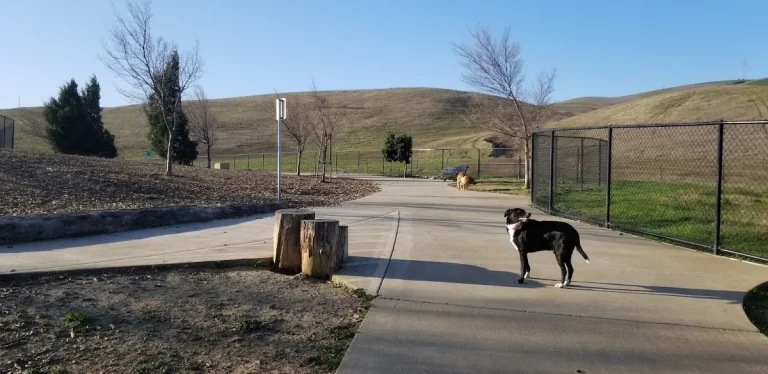 Cordelia Community Dog Park