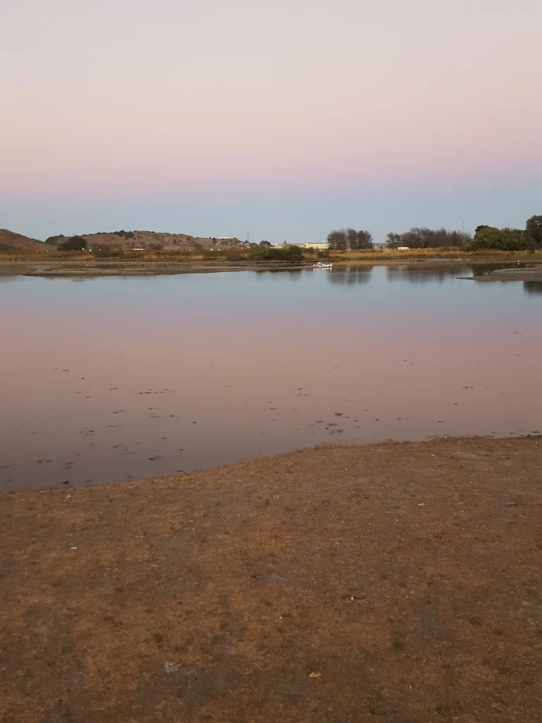 Corte Madera Shorebird Marsh