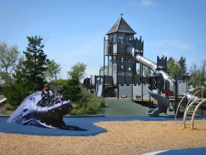 Coyote Point Recreation Area, a dog-friendly park in San Mateo, California