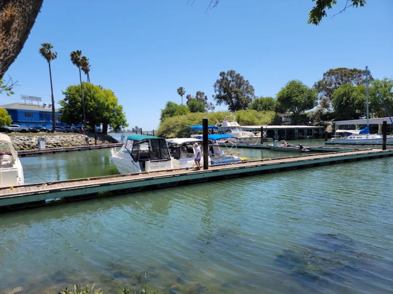 Delta Marina RV Resort, a dog-friendly campground in Rio Vista, California