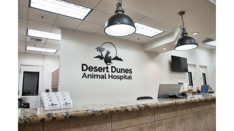 VCA Desert Dunes