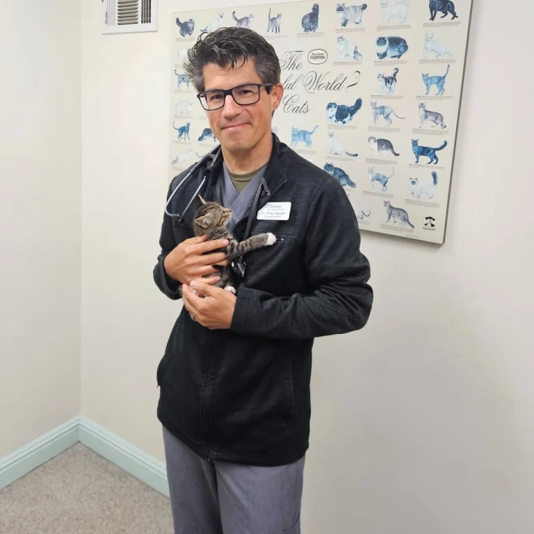 Disney Pet Hospital, a dog-friendly veterinary clinic in Concord, California