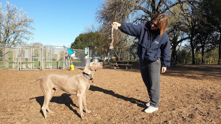 Dog Park Association