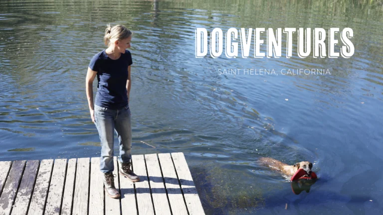 Dogventures