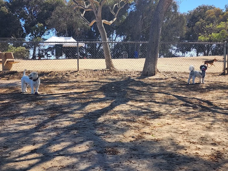 Doyle Dog Park