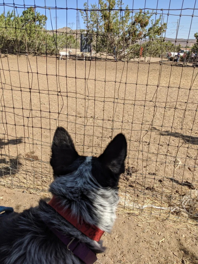Drummond Ranch Google Places photo